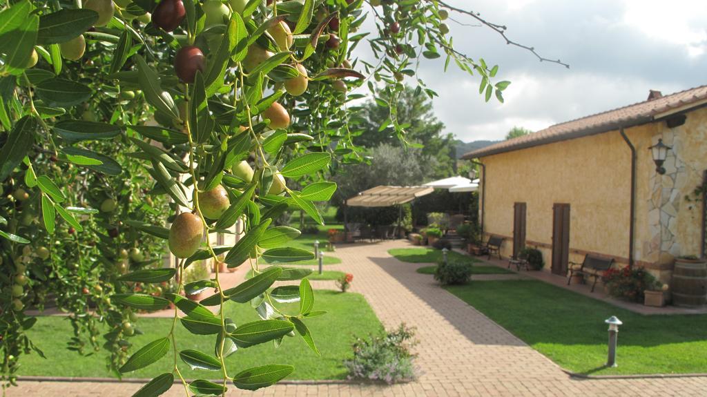 Podere Turicchio Ορμπετέλλο Εξωτερικό φωτογραφία